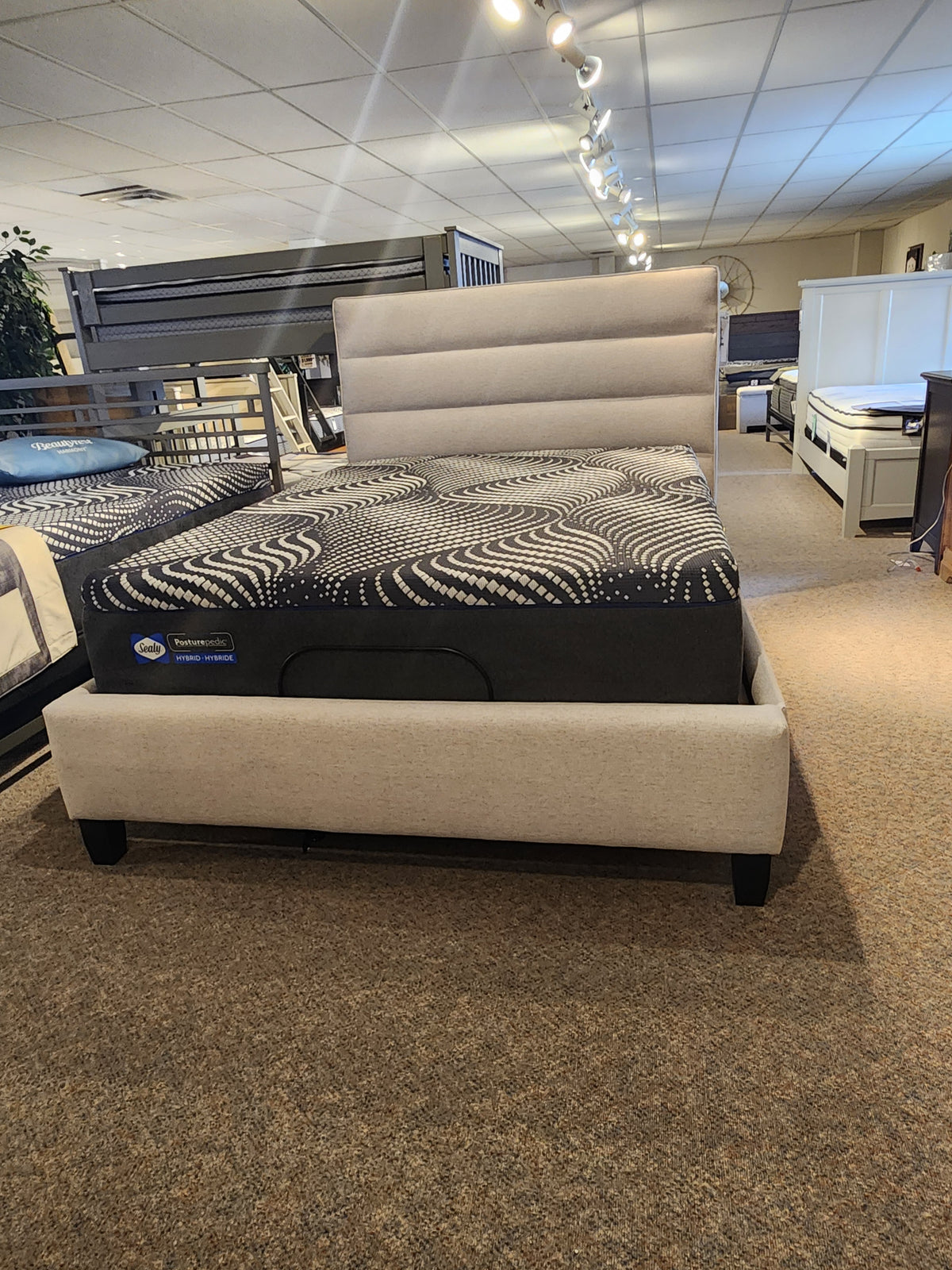 The Julien Beaudoin Queen Adelaide Upholstered Bedframe in beige exudes contemporary style under showroom lighting.