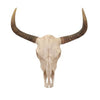 53117 Bull Skull