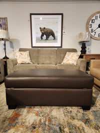A gray sofa with two patterned pillows, a Superstyle 5000-57 Storage Ottoman, and a bear photo on the wall.