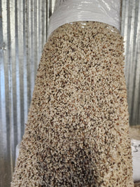 A Flooring CLEARANCE Carpet Remnant 6'10" X 5'1" stands upright against a corrugated metal wall.