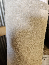 Flooring CLEARANCE Carpet Remnant 5'3" X 8', medium pile beige with dark stain, stored upright in warehouse.