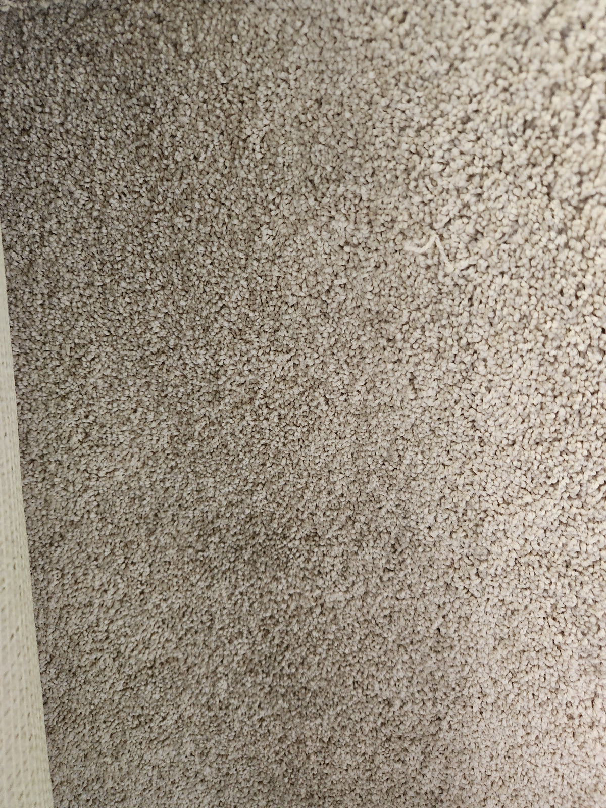 Close-up of Flooring CLEARANCE Carpet Remnant 12' X 12', beige medium pile, textured surface, wall edge on left.