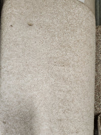 Close-up of Flooring CLEARANCE Carpet Remnant 7'5" x 14'11", beige, soft textured medium pile with subtle indent marks.
