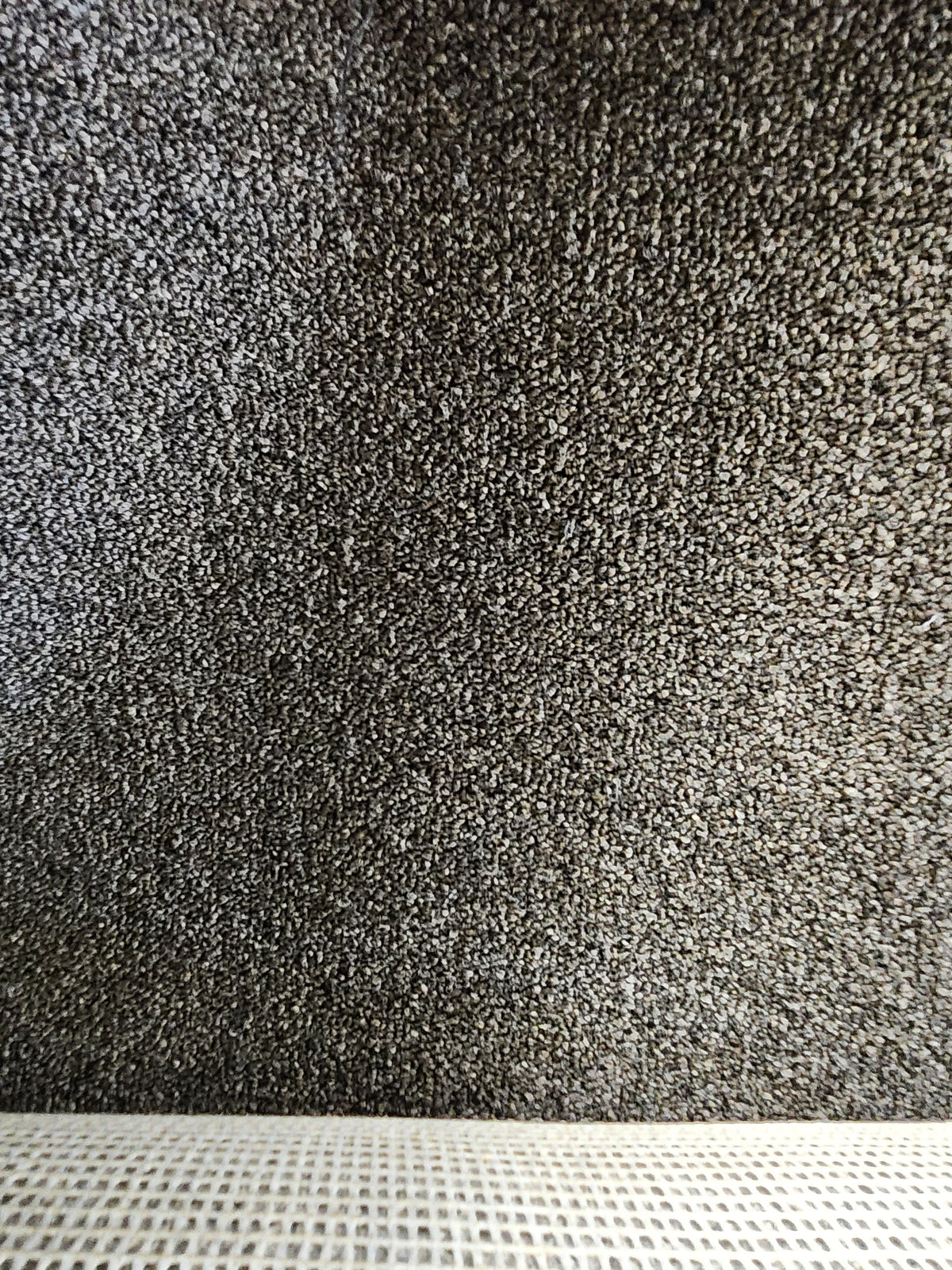 Close-up of Flooring CLEARANCE Carpet Remnant 3'7" X 22'6", medium pile brown with a light woven fabric strip.