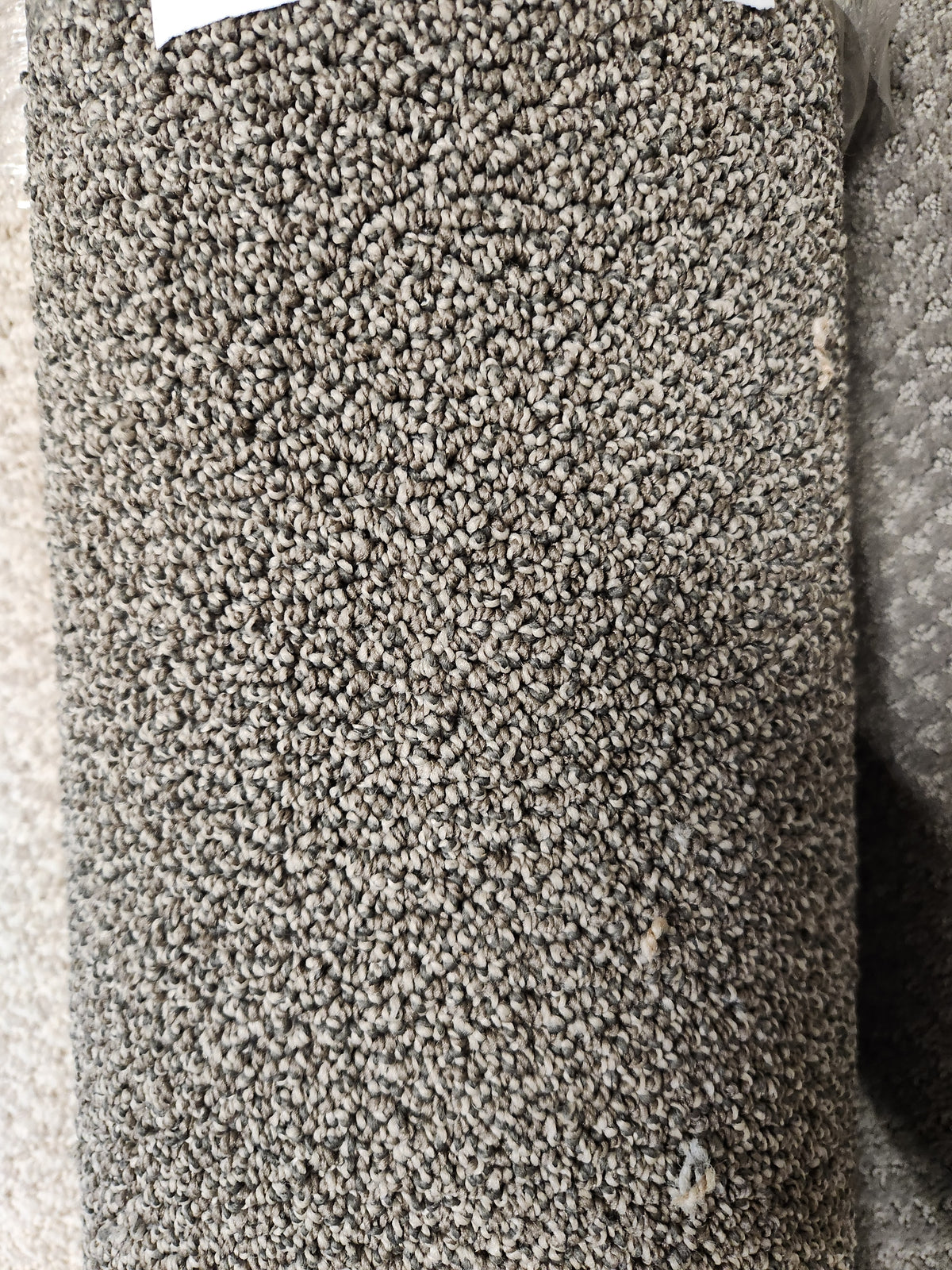 Close-up of Flooring CLEARANCE Carpet Remnant 5'9" x 7'9" featuring textured gray, tightly looped medium pile.