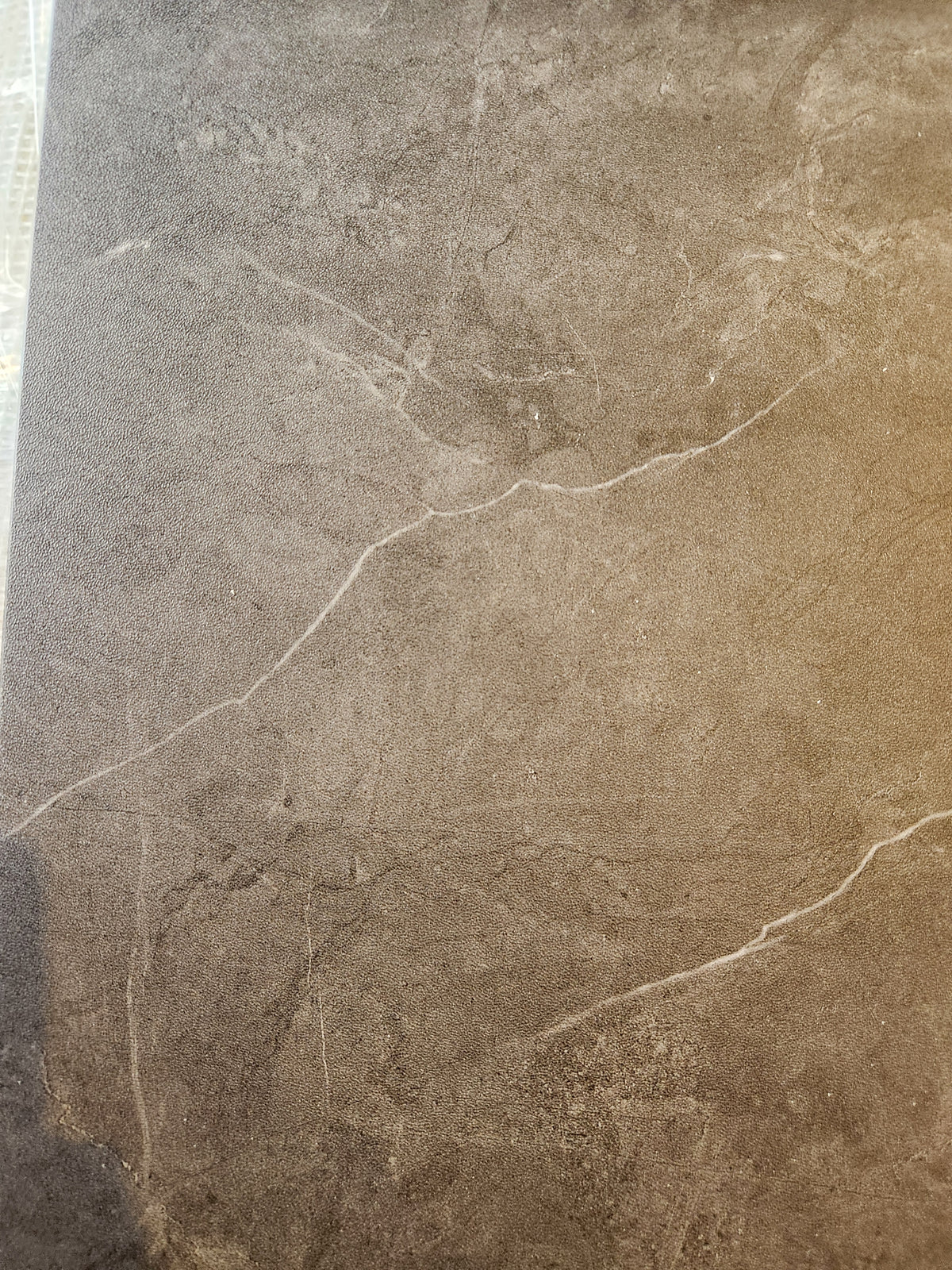 Close-up of Coastline Kamari (LVT) by Melmart Canada, perfect for loose lay install and lifetime residential warranty.