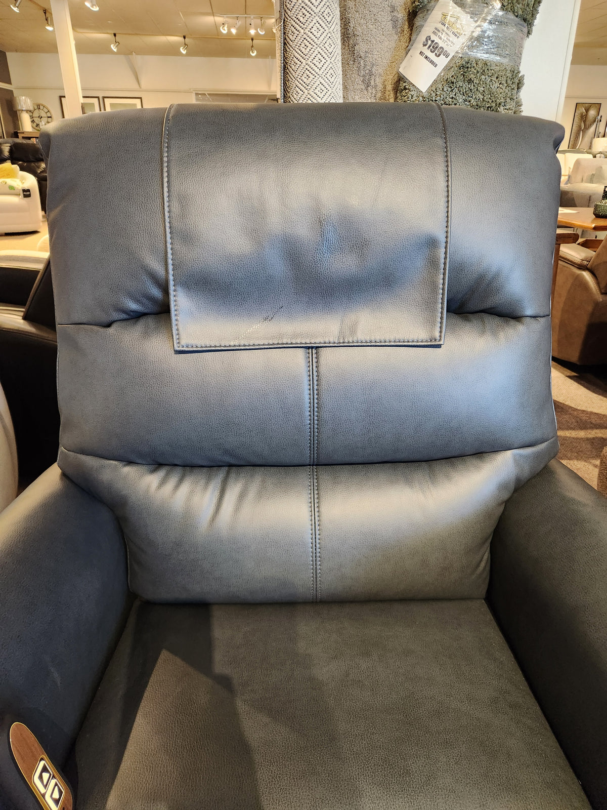 Elara Lift Chair PL118 MSM