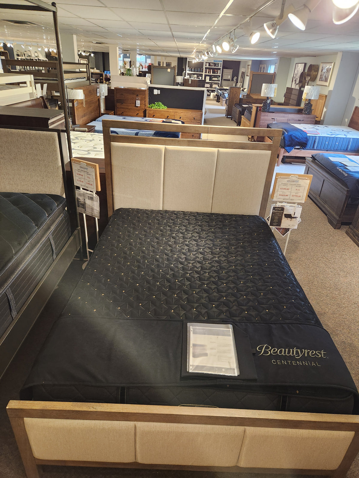 Beauty-rest Amon Hybrid Plush Mattress