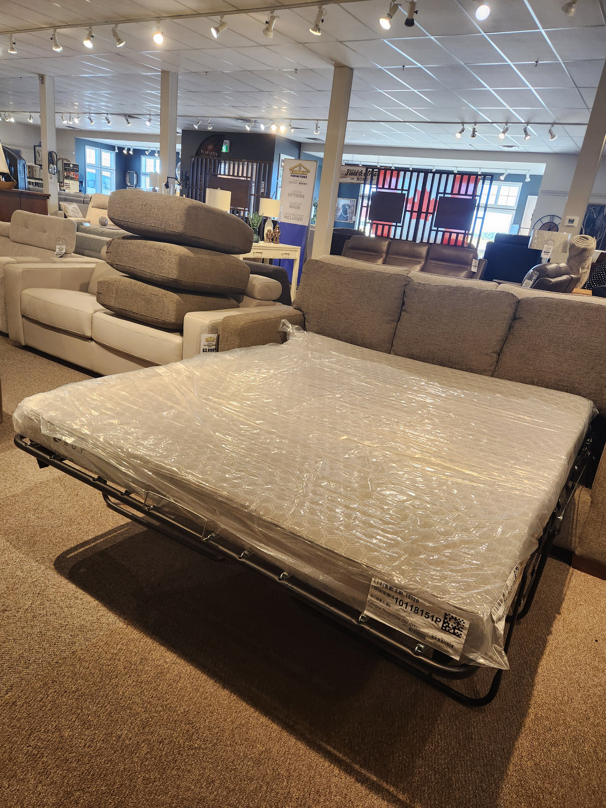 Shiloh Queen Sofabed