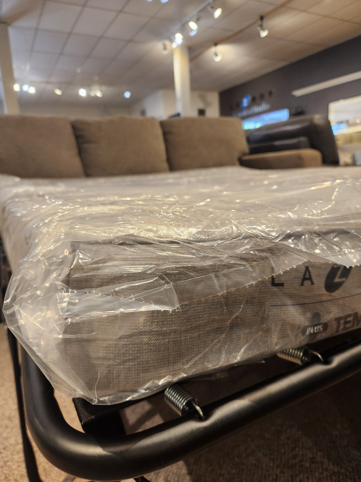 Shiloh Queen Sofabed