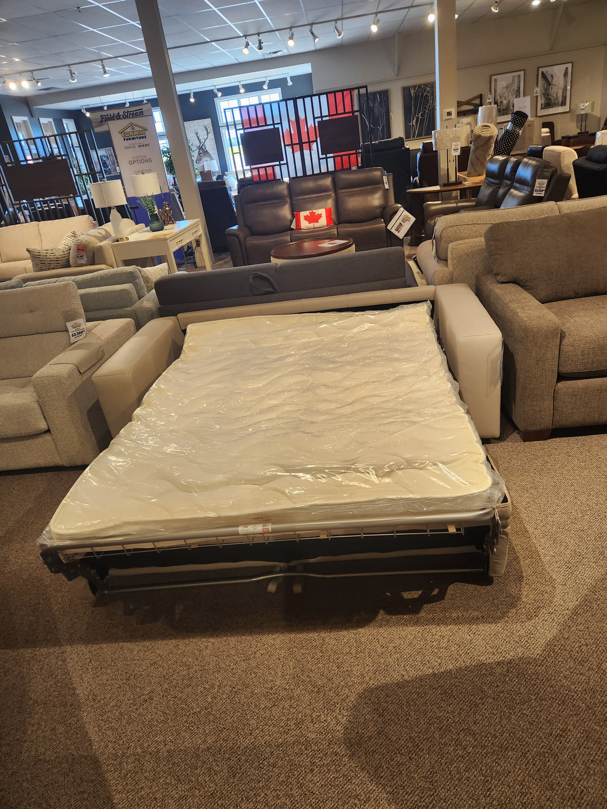Edison Queen Sofa Bed