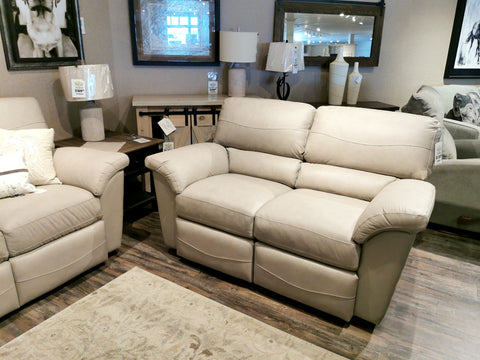 366 Reese Reclining Loveseat