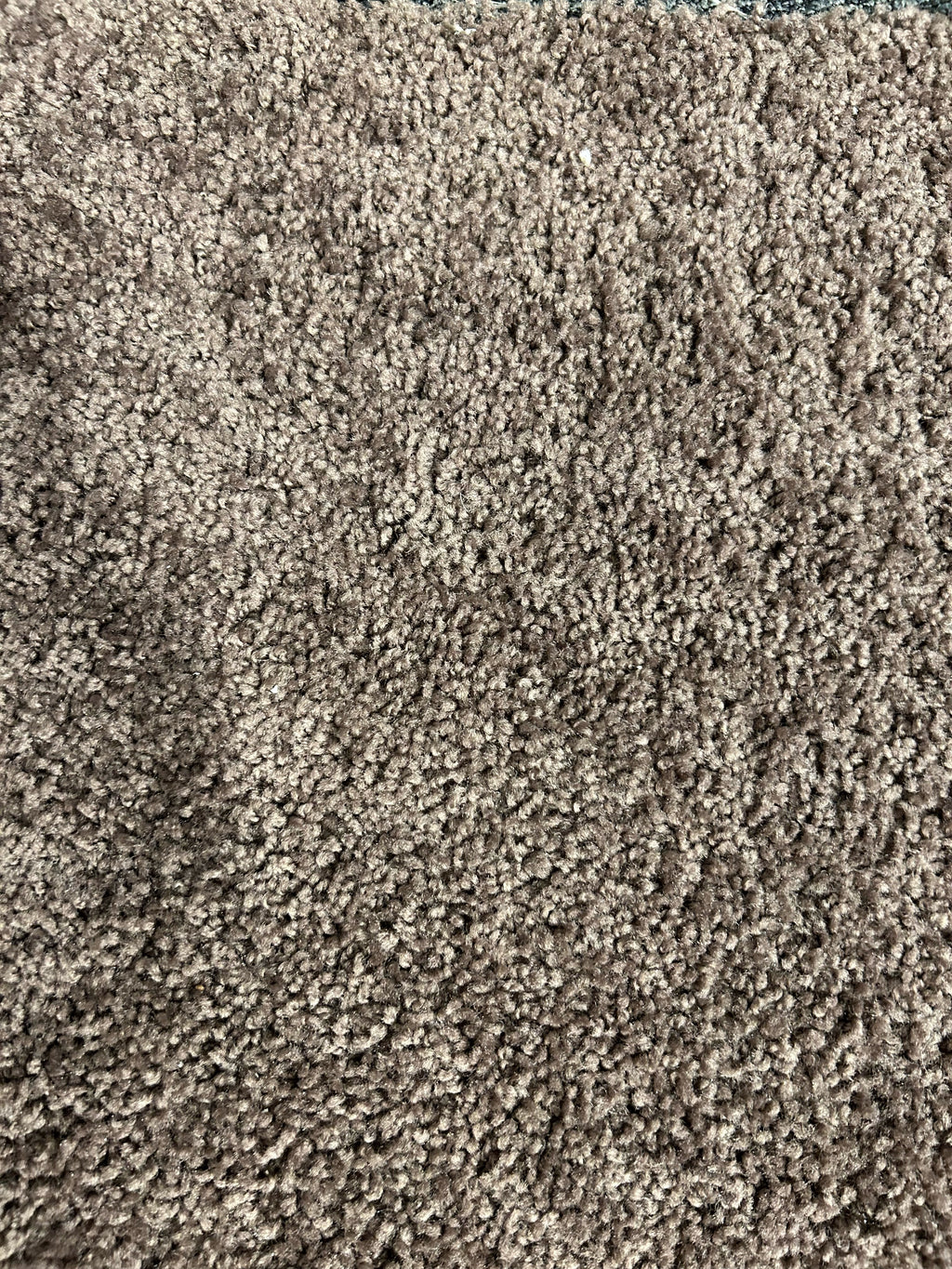 Melmart Formal Carpet – Conway Furniture