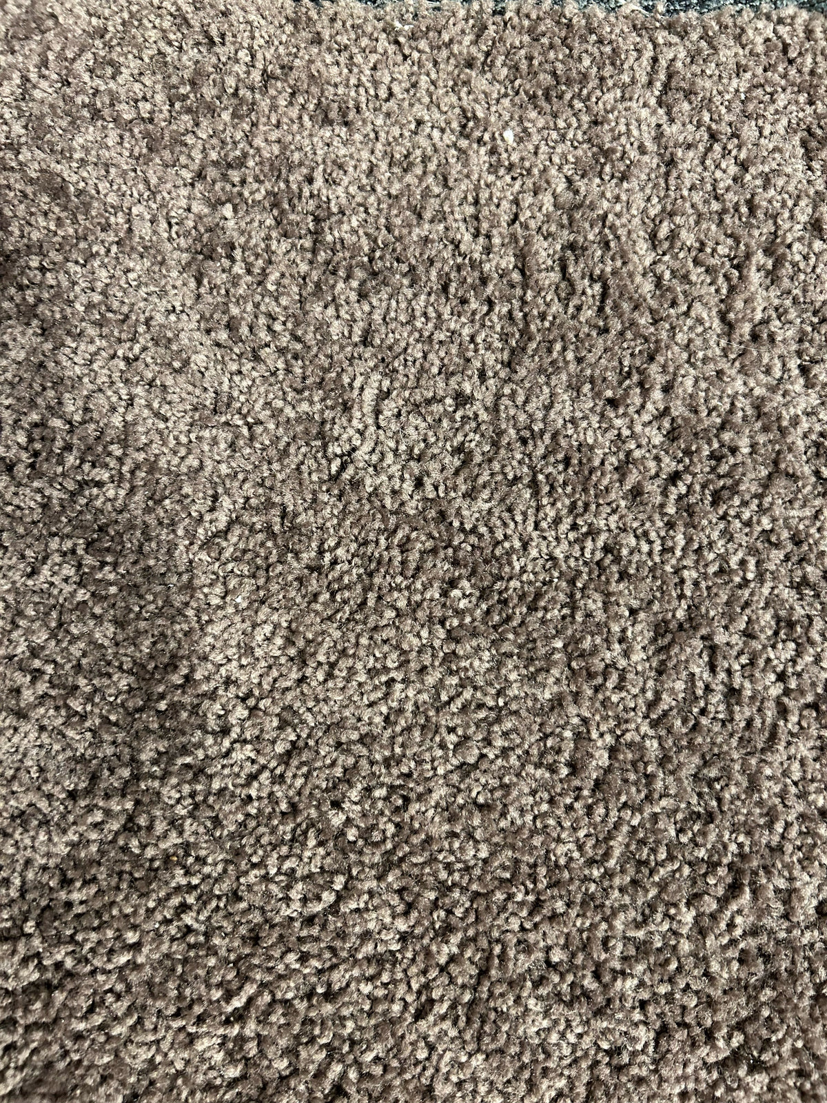 Close-up of textured Melmart Formal Carpet by Melmart Canada in beige with a fluffy, looped, chocolate chip speckled design.