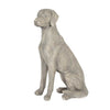 Labrador