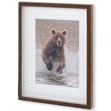 Splashing Bear Photo