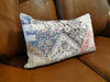 Salem Kidney Toss Pillow