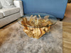 5331 31" Natural Root Coffee Table