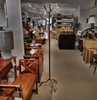 50080 Annex Tree Branch Coat Stand