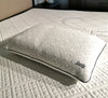 Sealy 'Premium' Pillow